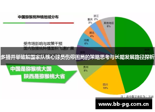 多措并举破解国家队核心球员伤停困局的策略思考与长期发展路径探析