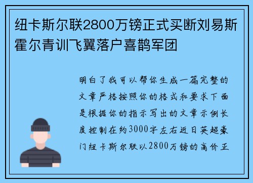 纽卡斯尔联2800万镑正式买断刘易斯霍尔青训飞翼落户喜鹊军团